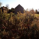 "Ash Point, Maine" © Heather Phillips; Creative Commons license