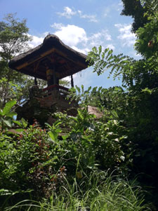 Bali Temple