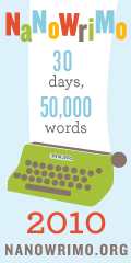 NaNoWriMo poster